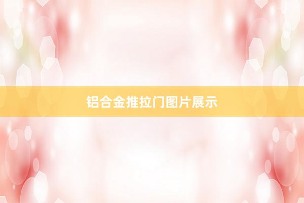 铝合金推拉门图片展示